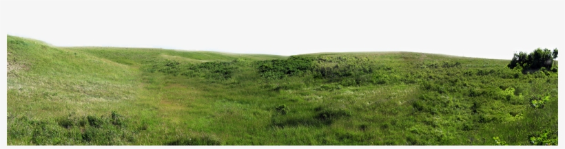 Play - Grassland, transparent png