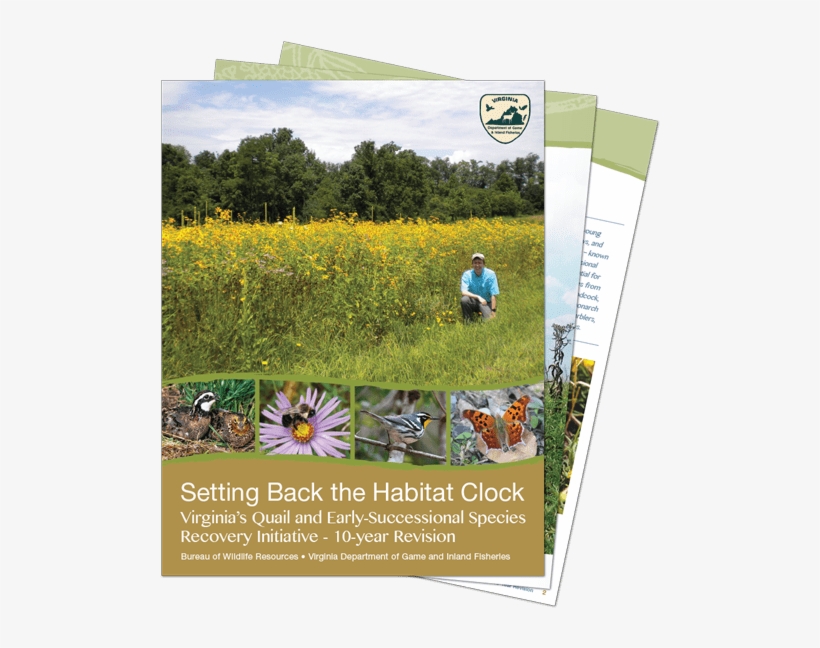 Virginia, Setting Back The Habitat Clock - Gaining Early Awareness And Readiness For Undergraduate, transparent png