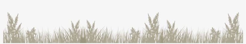 Grass, transparent png