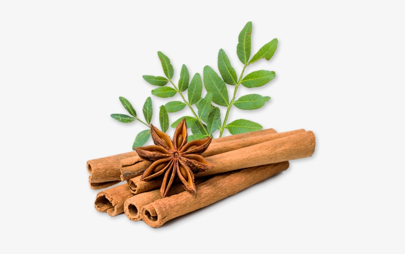 Cinnamon, transparent png