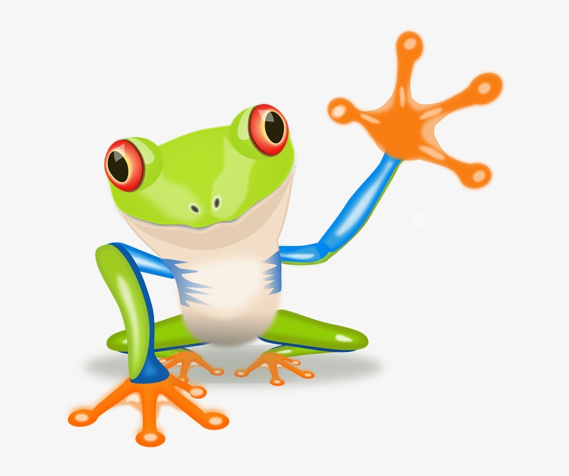Costa Rica Frog Clip Art, transparent png