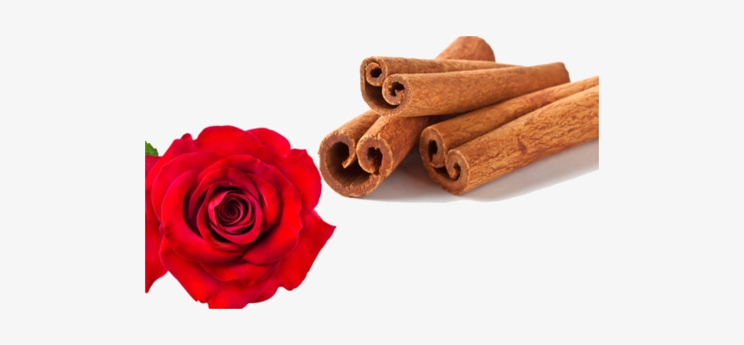 Moonspice - Biscotti Mela E Cannella Iperproteici, transparent png