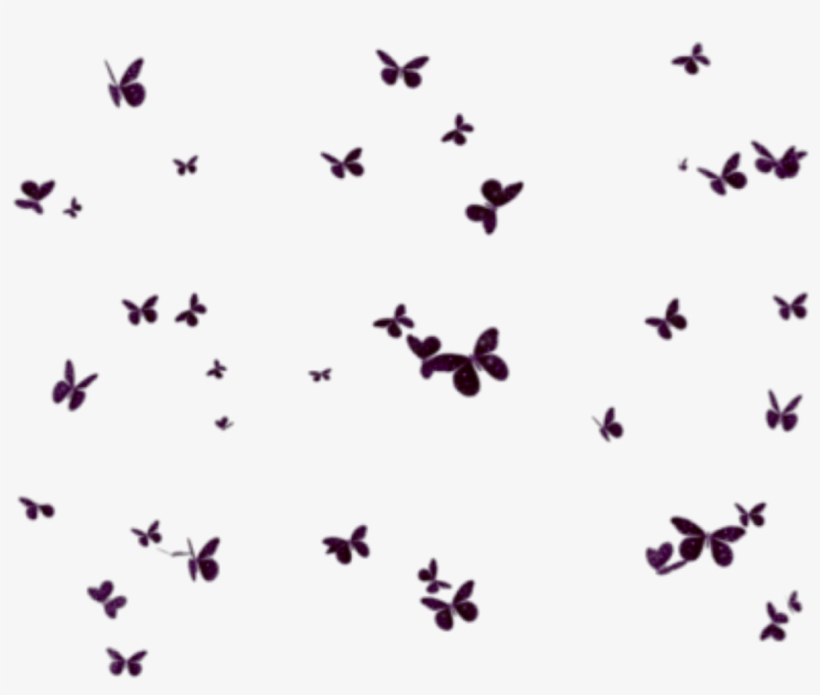 Butterflies Mariposas Mariposa Butterfly Group Grupo - Borboletinhas Em Png, transparent png
