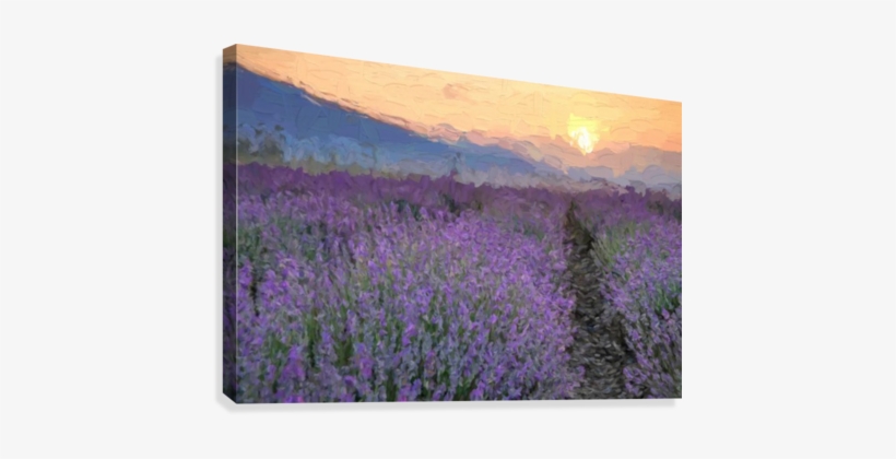 Field Of Flowers At Sunset Canvas Print - Field Of Flowers, transparent png