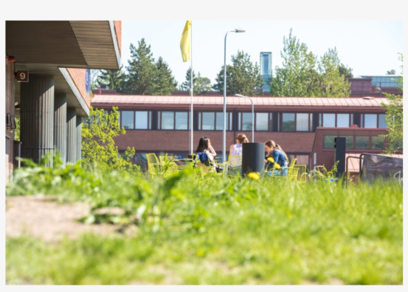 Crystal Flowers In Halls Of Mirrors Course - Human, transparent png
