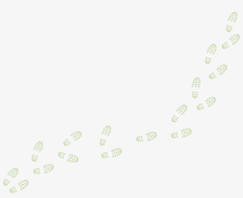 Next Item Huellas De Zapatos De - Sea Turtle, transparent png