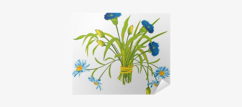 Flower, transparent png