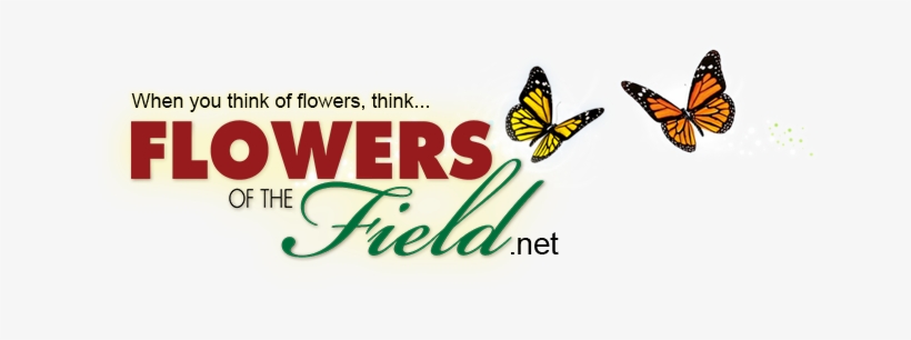 Flowers Of The Field - Religion, Philosophy And Life: The Reasons Behind Action, transparent png