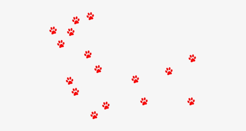 Huellas De Cachorros Png, transparent png