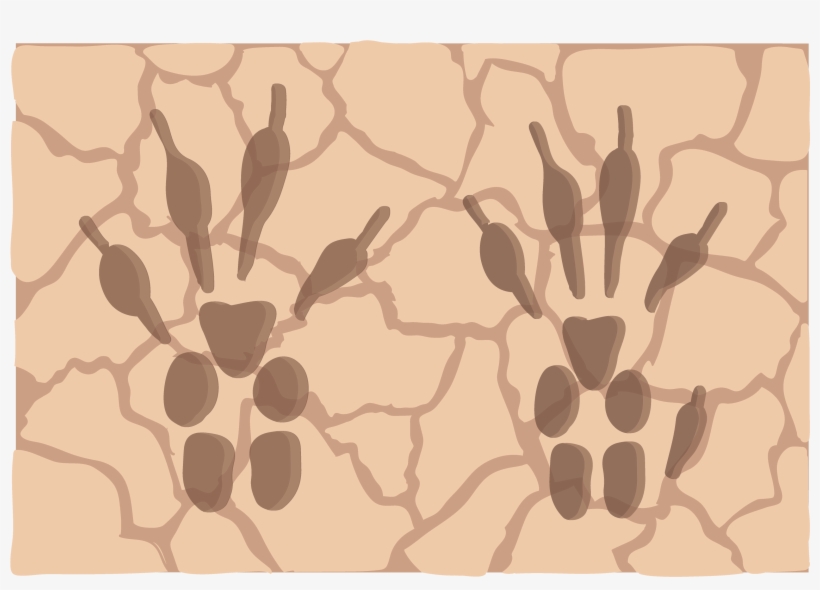 Ardilla De Fuerteventura - Fuerteventura, transparent png