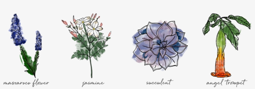 Plants & Flowers - Calhau Grande - Rural Wood Cottages, transparent png