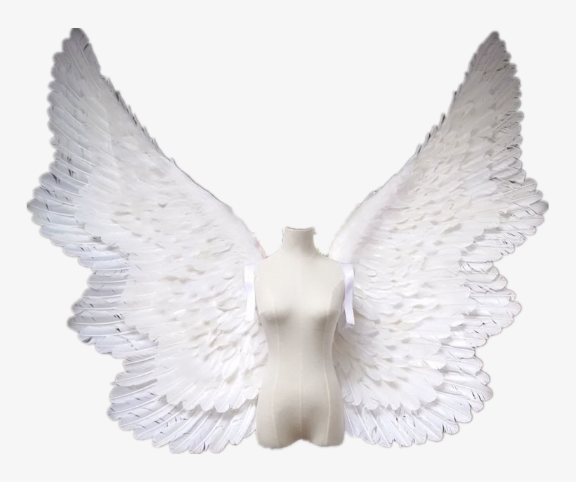 Handmade Adulto Asas De Fada Para Festas Temáticas - Big Angel Wings, transparent png
