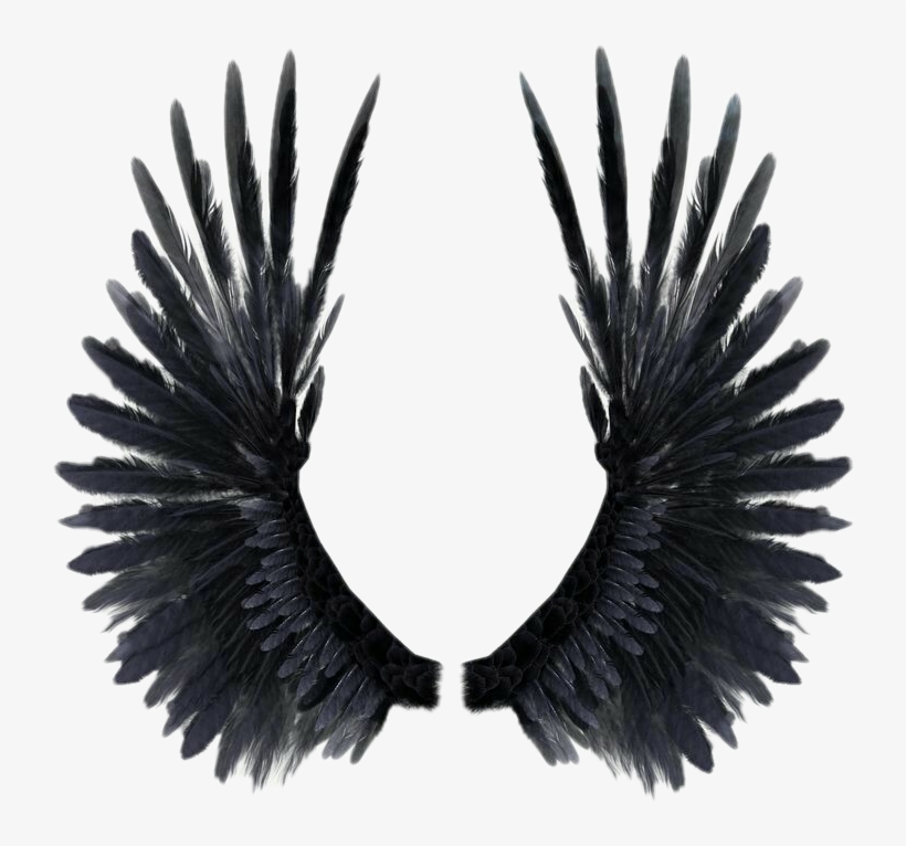 Realistic Wings, transparent png