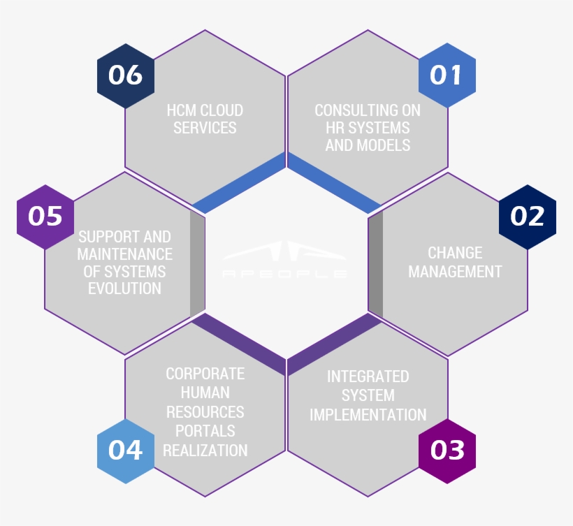 Human Resource Management, transparent png