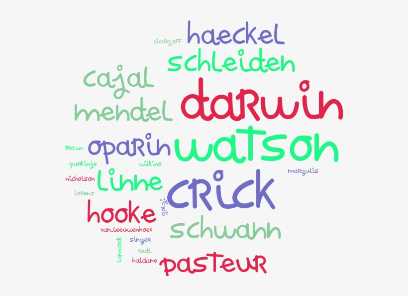 Algunos De Los Usos Didácticos De La Nube De Palabras - Cloud Computing, transparent png