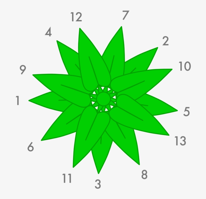 Leaf Growth - Golden Ratio In Leaves, transparent png