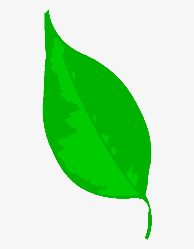 Circle The Leaf With 0 Bugs - Leaf, transparent png