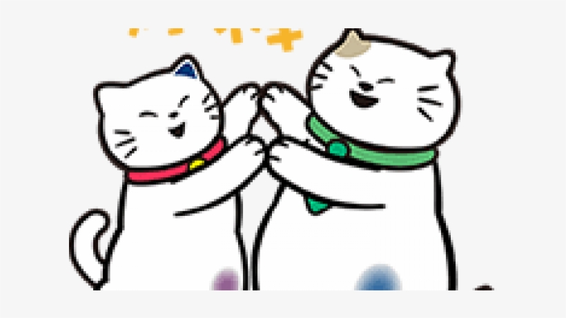 Cat, transparent png