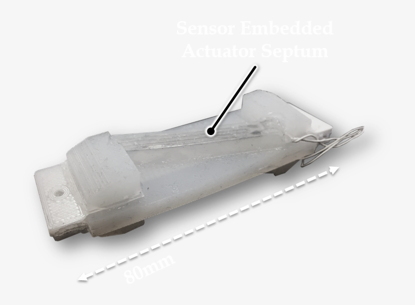 Testseptum - Portable Network Graphics, transparent png