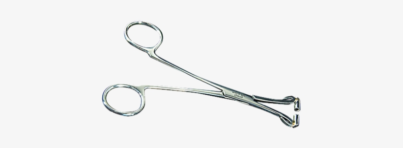 Septum Forceps 6" No Ratchet - Surgical Instrument, transparent png