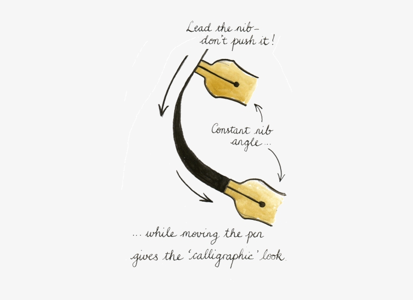 How Holding The Nib At A Constant Angle Creates Thick - Write Calligraphy, transparent png