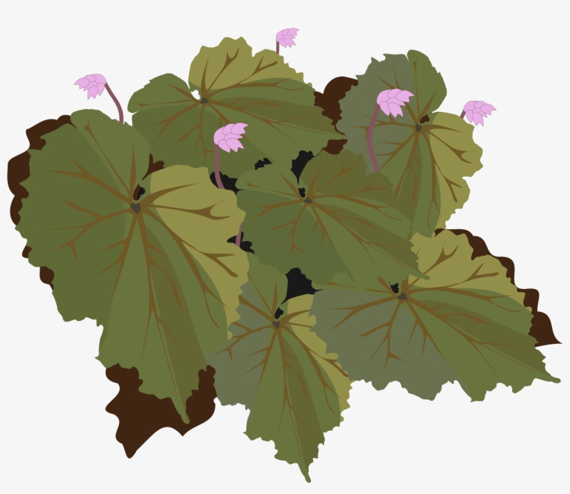 This Free Icons Png Design Of Begonia-01, transparent png