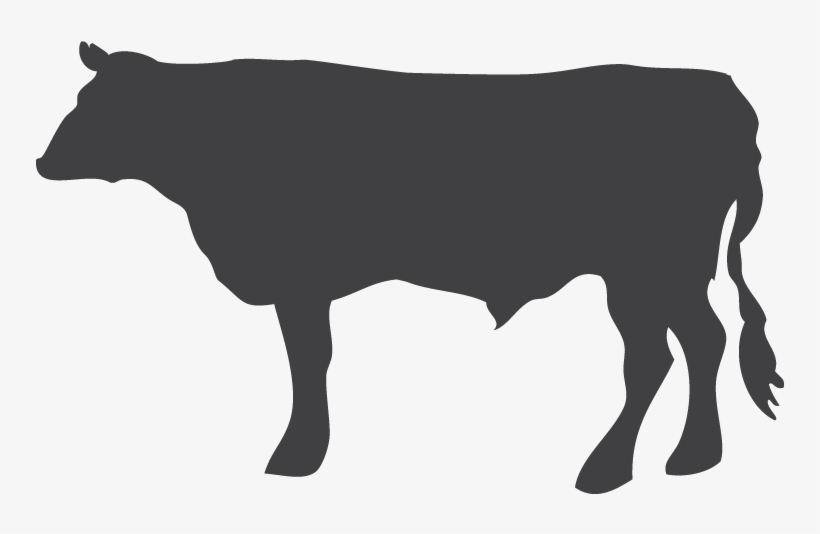 Hanger Steak, transparent png