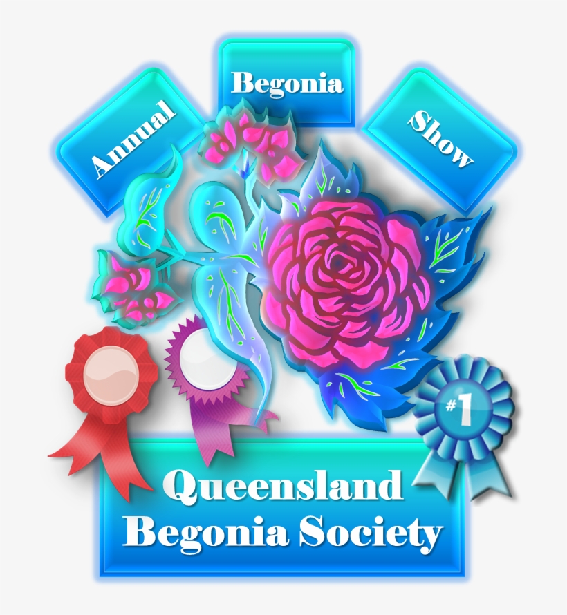 Click Here To See The 2012 Annual Begonia Slideshow - Begonia, transparent png