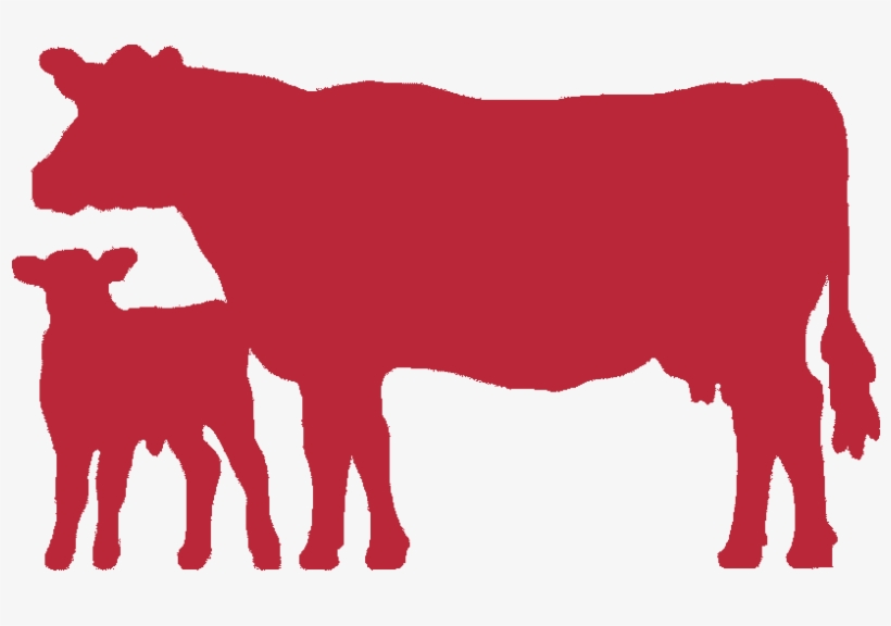 Dairy Cow Png, transparent png