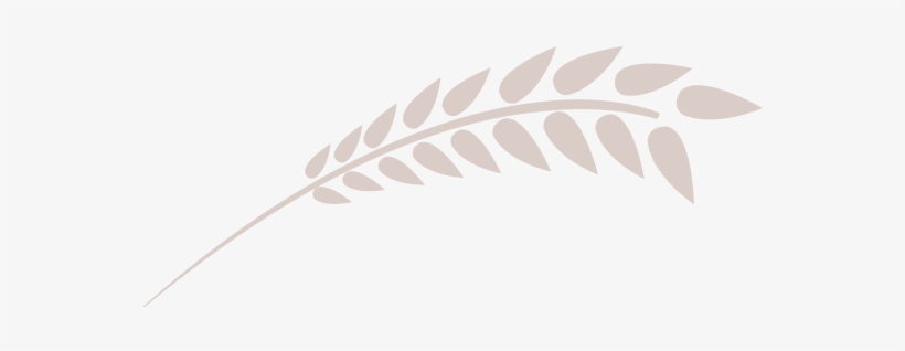 Ataúd Modelo Apolo Extra Grande - Ramitas Png, transparent png