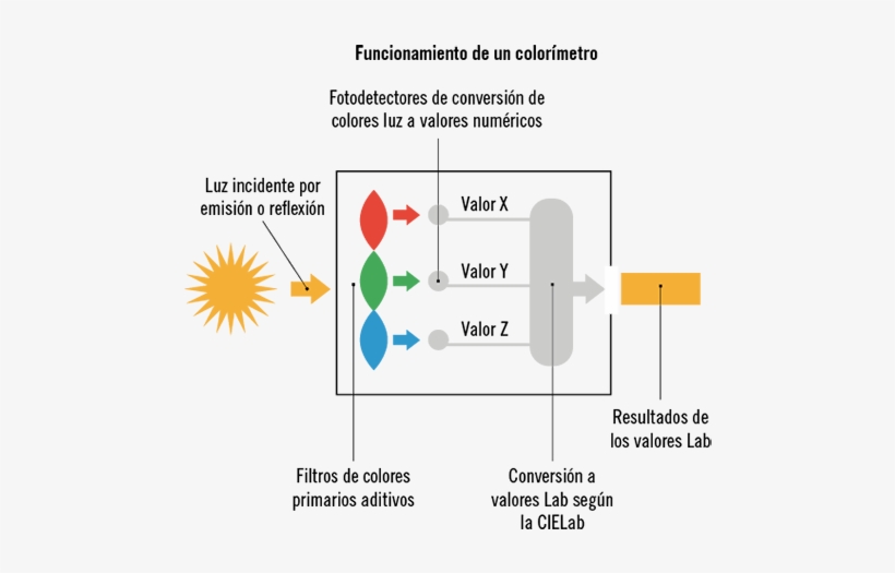 Basándose En Estos Tipos De Medición Del Color, Se - Color Management, transparent png