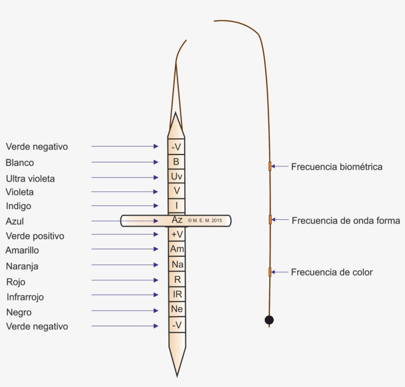 El Péndulo O Cono Virtual Dispone De Un Disco Que Se - Pendulo Cromatico, transparent png