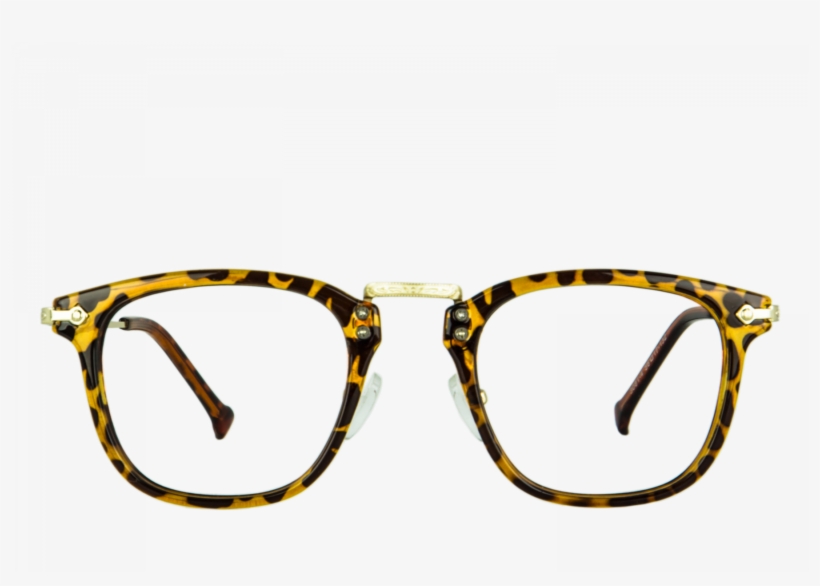 Begonia Écaille - Glasses, transparent png