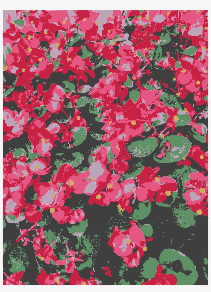 Big Image - Impatiens, transparent png