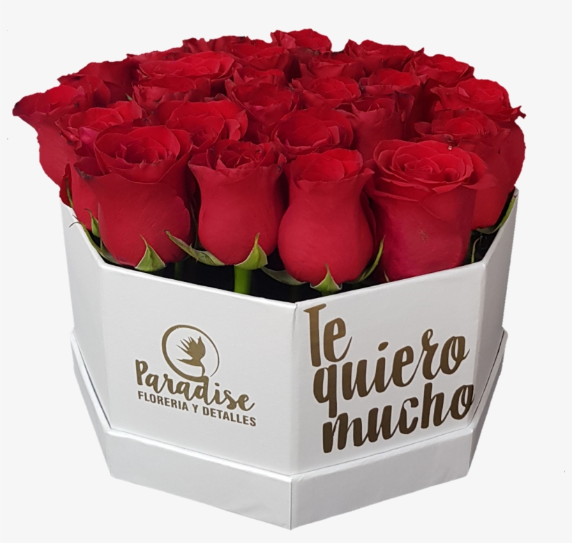 Caja De Rosa Roja C-19 - Garden Roses, transparent png