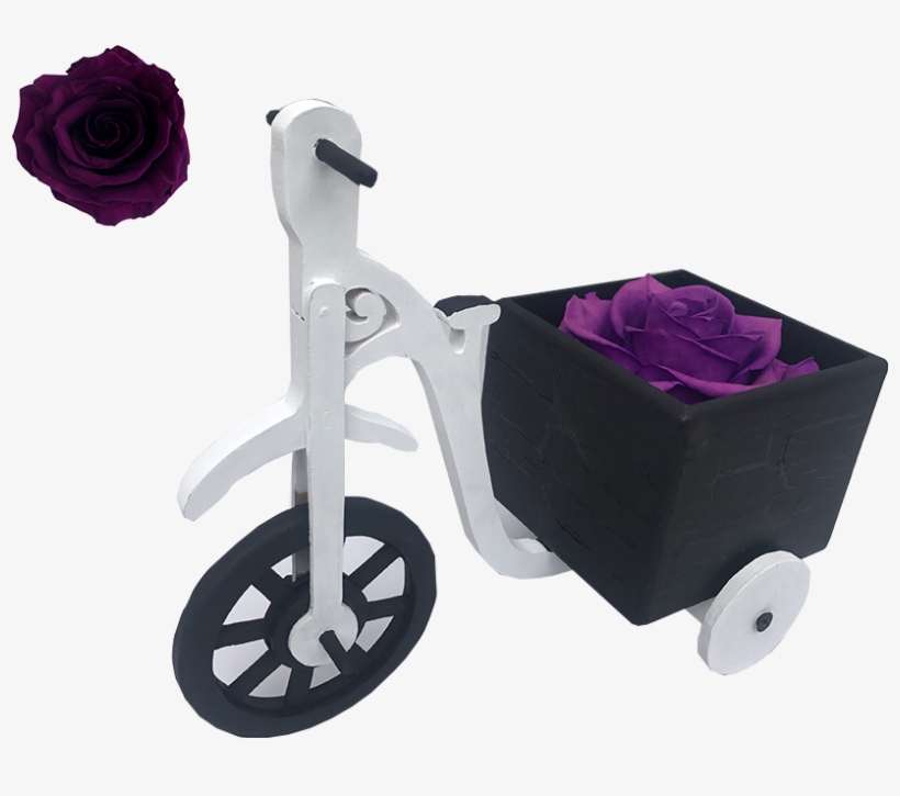 Bici Negroblanco Rosa Morada, transparent png