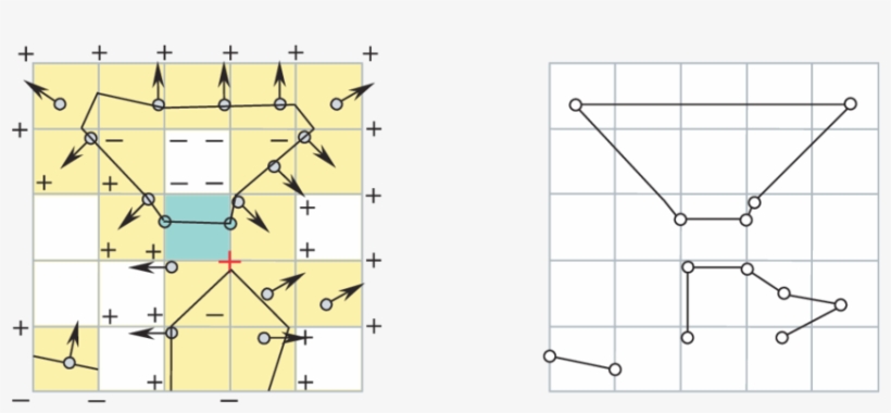 Topological Type Control By Grid Value Modification - Curve, transparent png