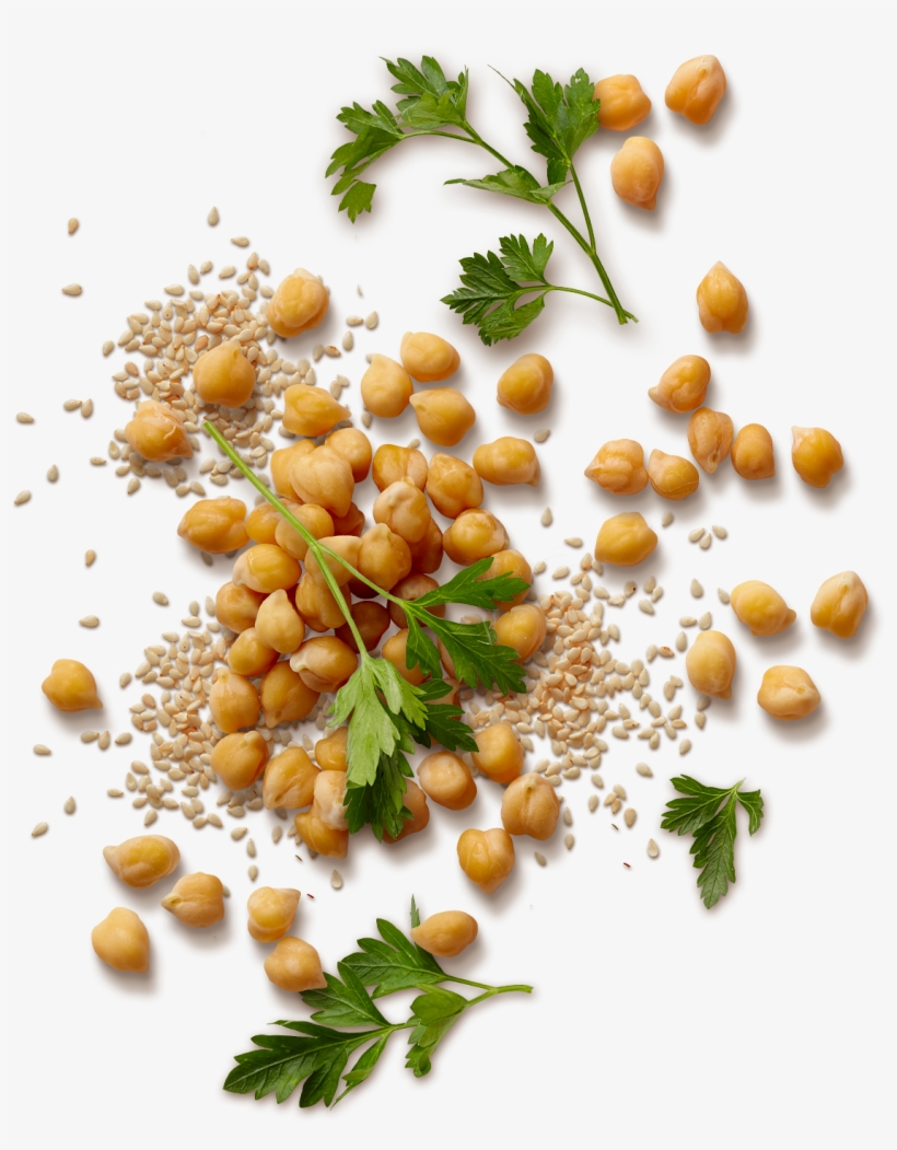 Clipart Resolution 1200*1410 - Hummus Beans Png, transparent png