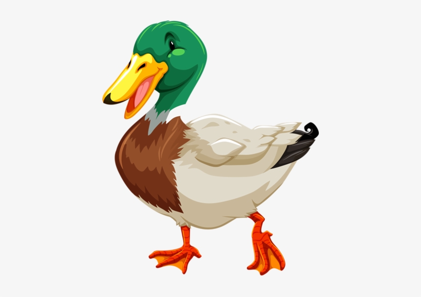 Visit - Different Kind Of Ducks, transparent png