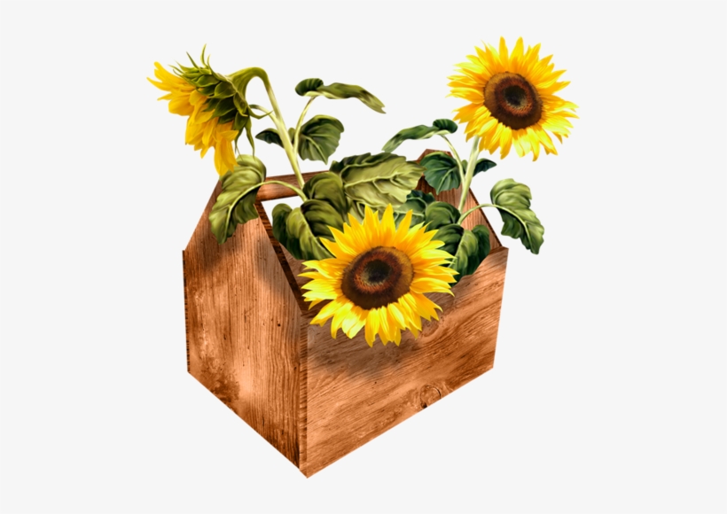 Cut Sunflowers - Clip Art, transparent png