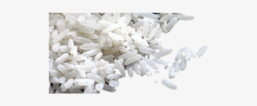 Rice And Pulses - Sagra Del Riso Sinaxis, transparent png