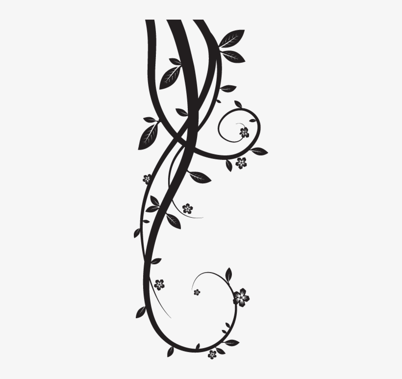 Vines Transparent Black And White Vines 274x693 PNG Download PNGkit