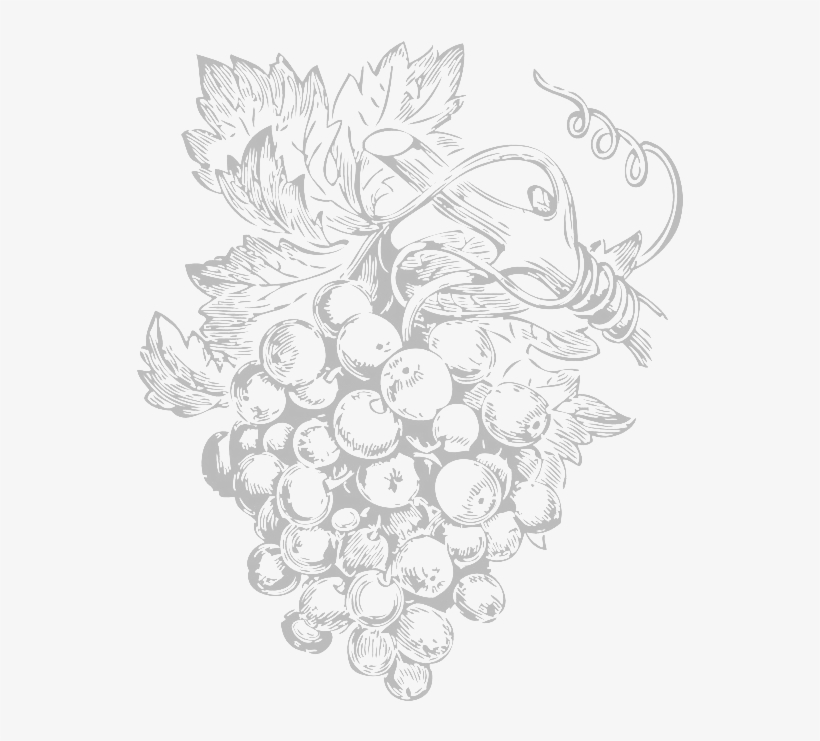 Vines - Grapes Free Vector Art, transparent png