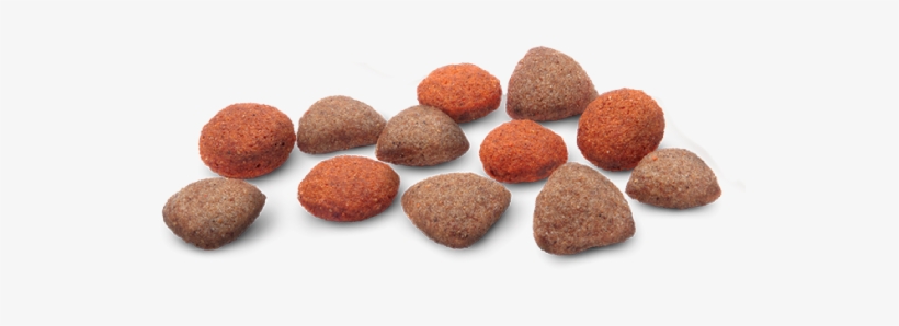 Bravo Cordeiro E Arroz - Sheep, transparent png