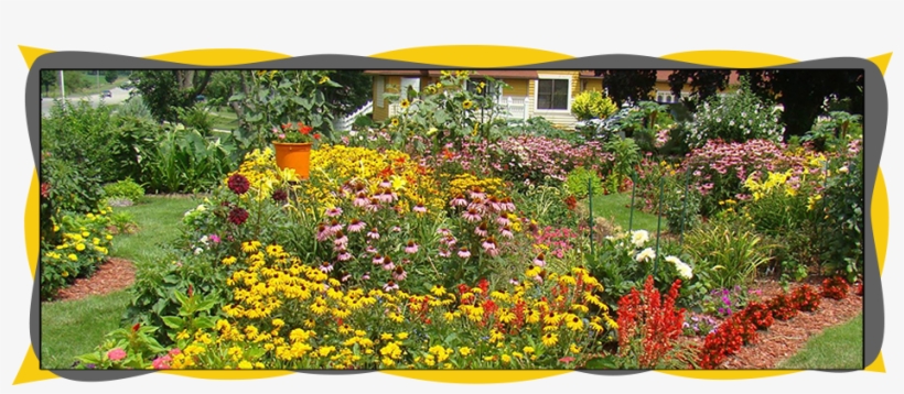 Butterfly Gardening, transparent png