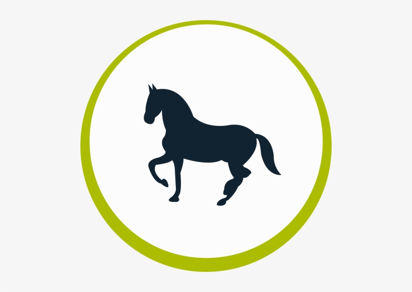 Equine - Icono Caballo Png, transparent png