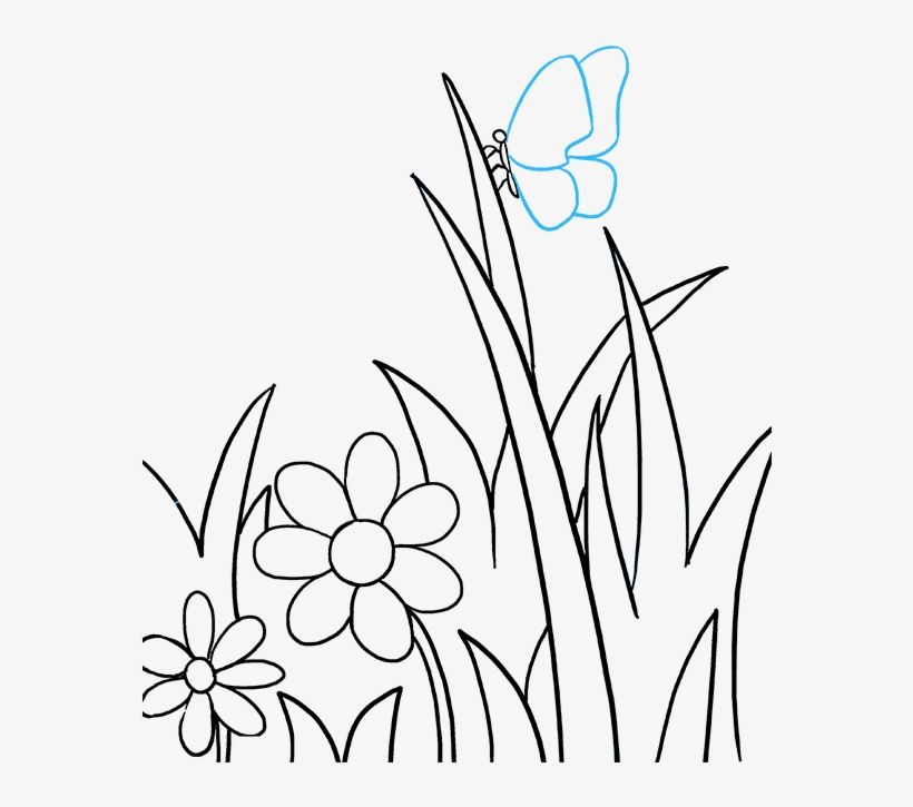 How To Draw Butterfly Garden - Butterfly Gardening, transparent png