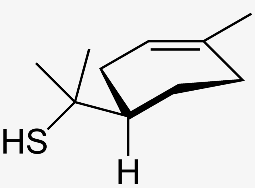 Grapefruit Mercaptan 2d Skeletal Perspective - Hydrogen Disulfide, transparent png