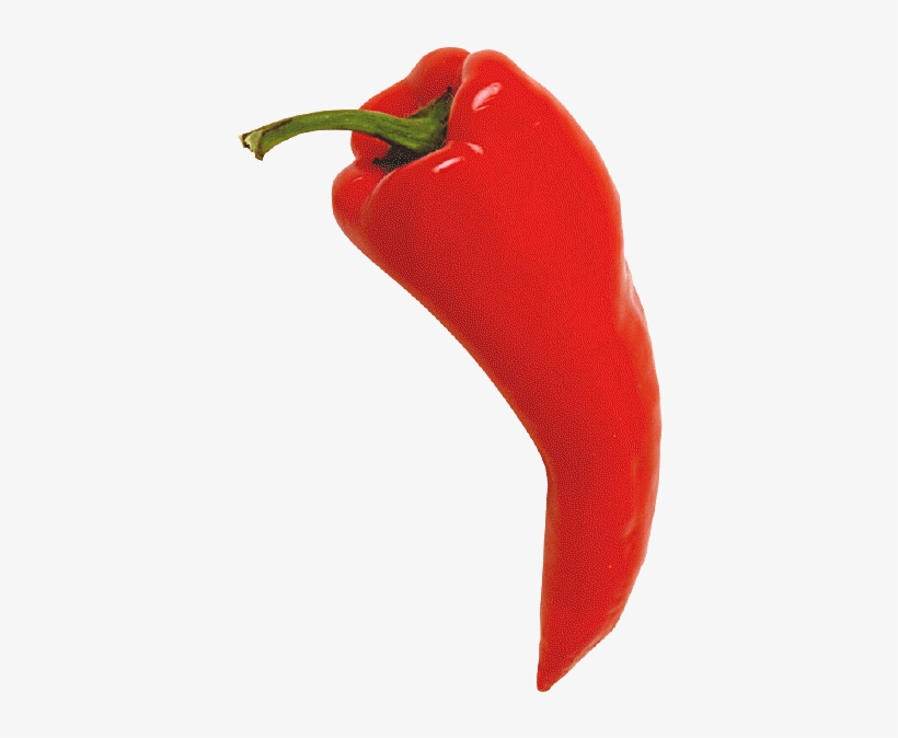 Chili Pepper Red - Chili Pepper, transparent png