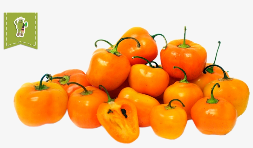 Manzano Chile Pepper - Peppers Manzano, transparent png